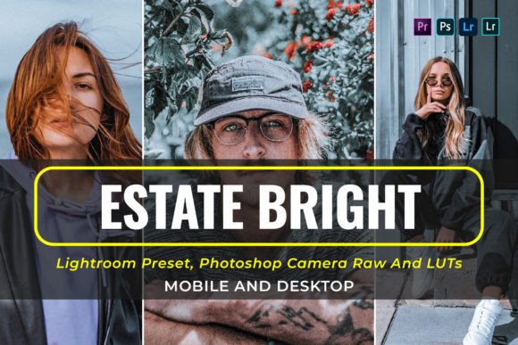 Download 10 Estate Bright Presets and Luts - Bright preset Collection