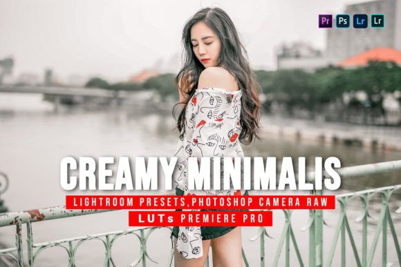 Download 5 Creamy Minimalist Presets and Luts - Minimalist presets Collection
