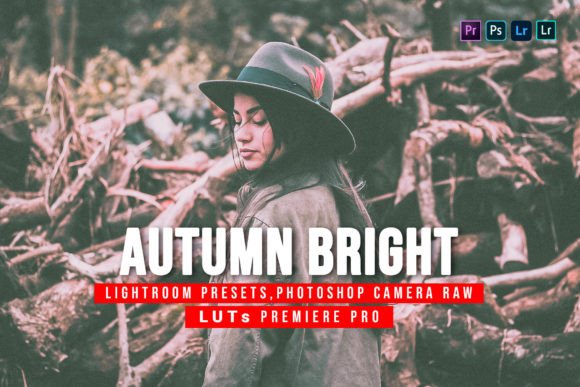 Download 10 Autumn Bright Presets and Luts - Bright preset Collection